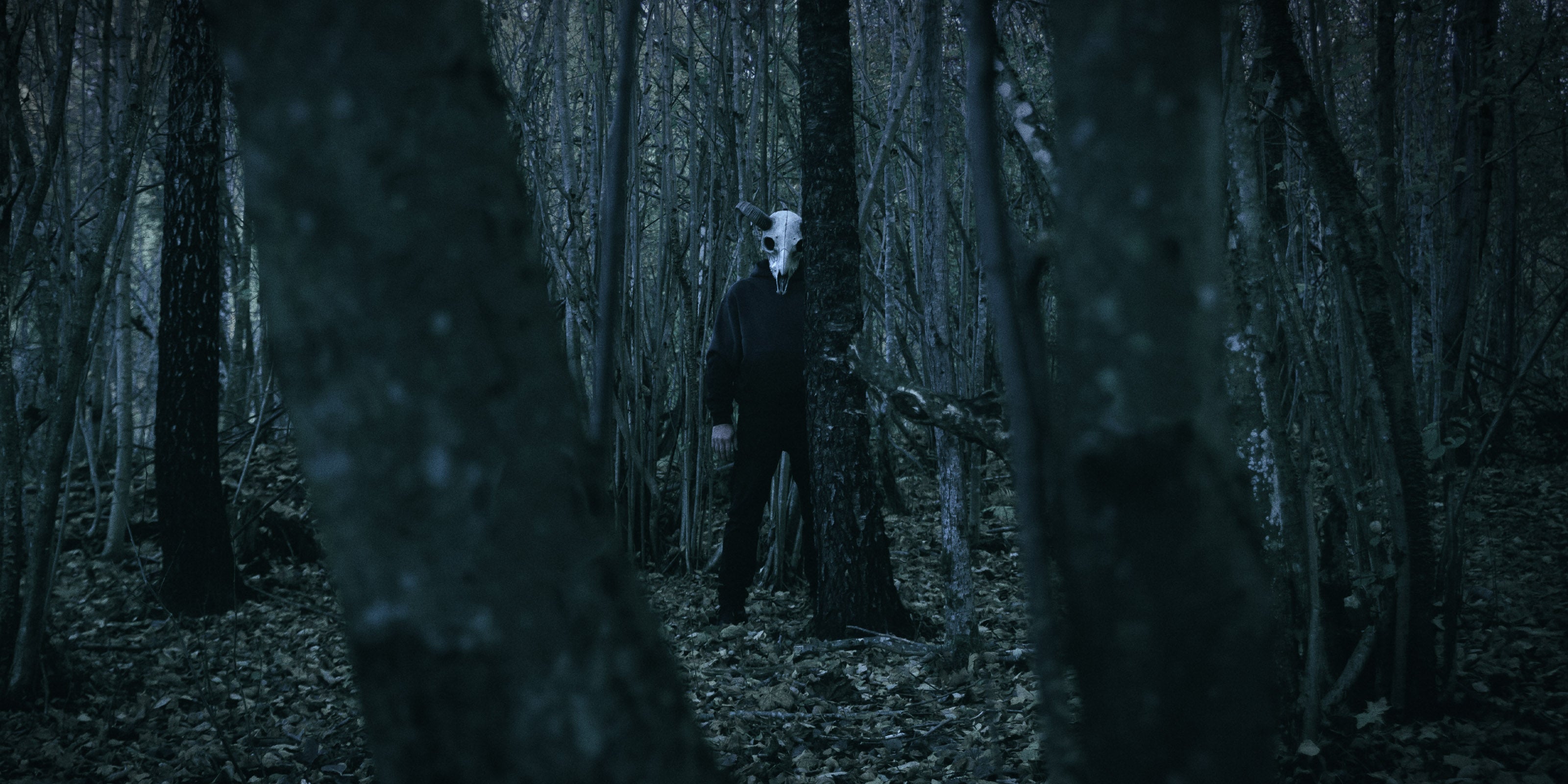 Person wearing a satanic goat skull mask in a dark forest