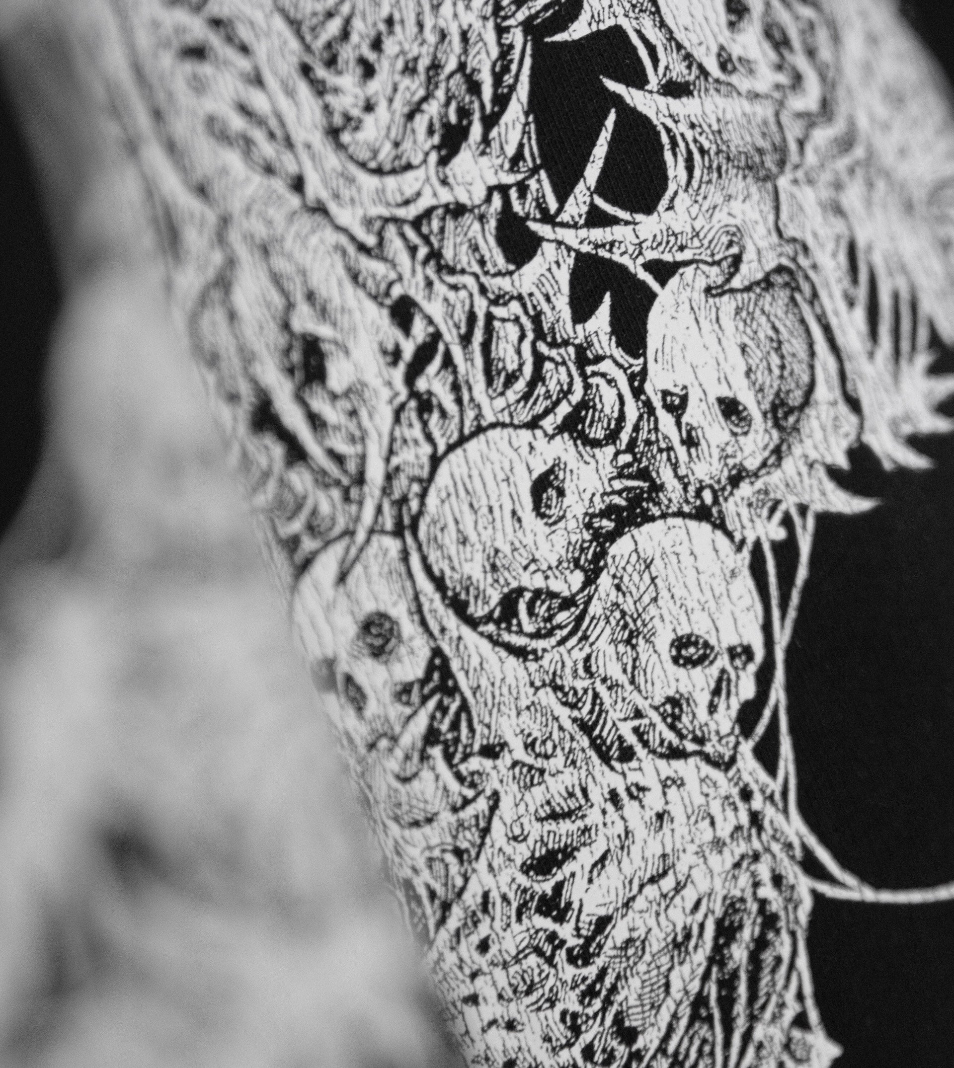 Close-up of intricate skeleton illustration with a black fabric background